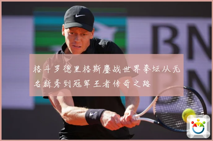 格斗罗德里格斯鏖战世界拳坛从无名新秀到冠军王者传奇之路